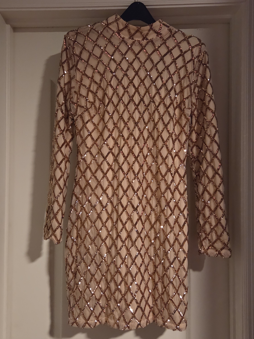 Xtaren Nude Dress with Rose Gold Sequin Lattice